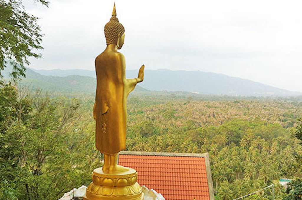 Budha Halbtagestour Inselrundfahrt auf Koh Samui