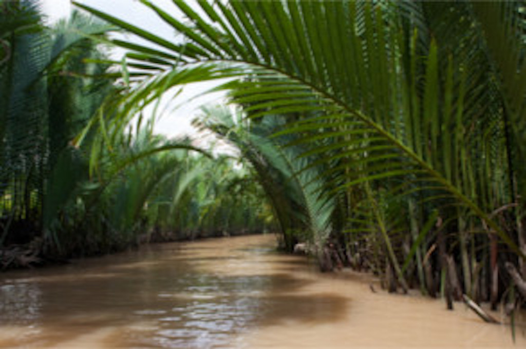 Mekong Delta