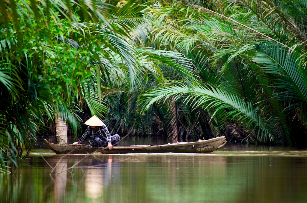 menschen die auf dem Kanu fahren Ruderboot unter Nipapalmen in einem Kanal des Mekong-Deltas