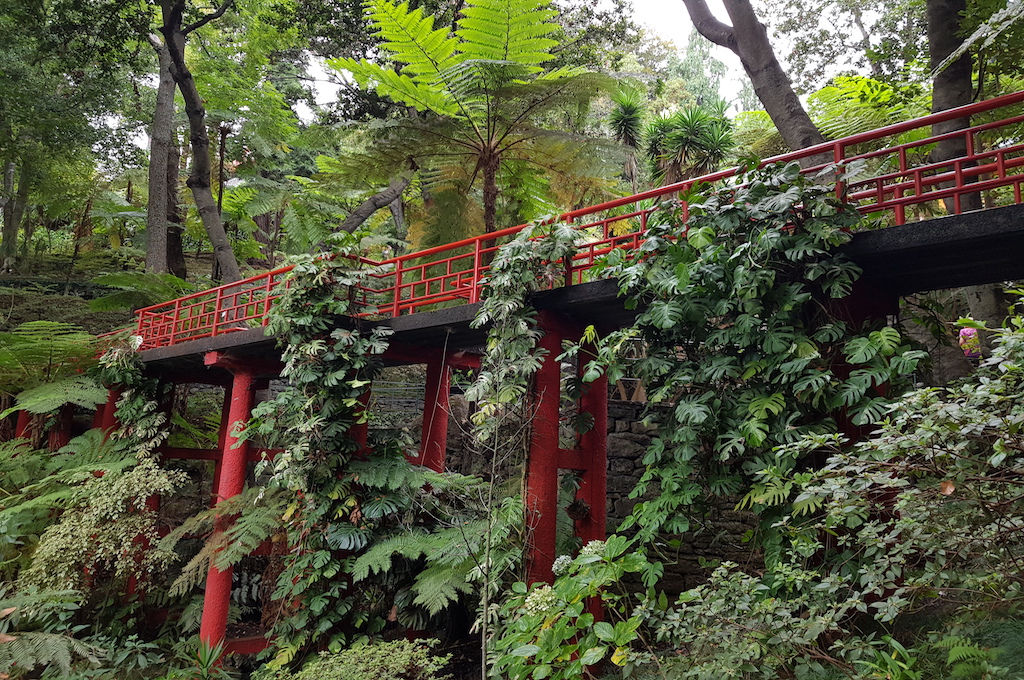 Citytour Funchal