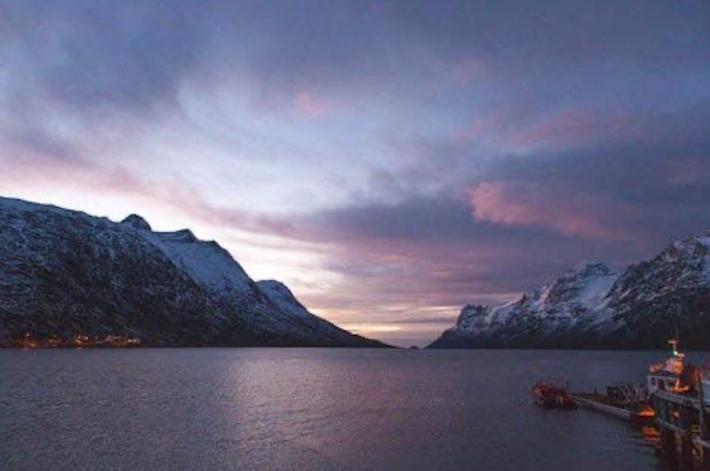 Aufsicht auf Flora bei Sonnenuntergang Arktisches Fjord-Besichtigung