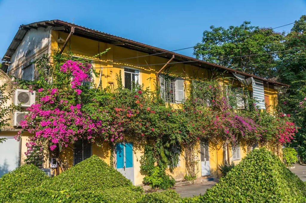 saigon Tagesausflug zu den Cu Chi-Tunneln & Mekong-Delta