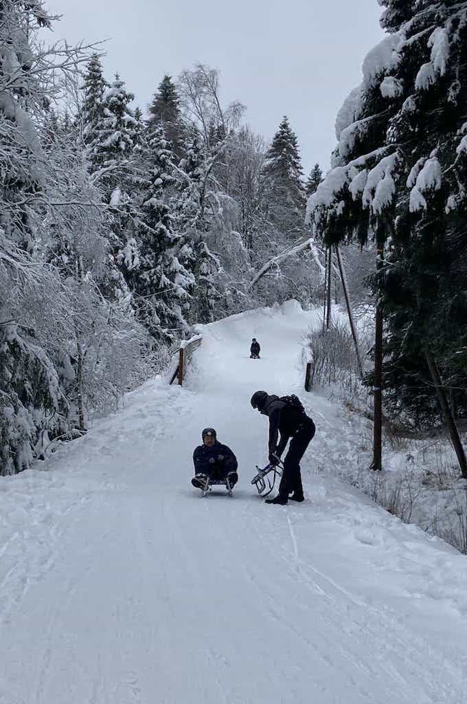 Schlittenerfahrung in Oslo