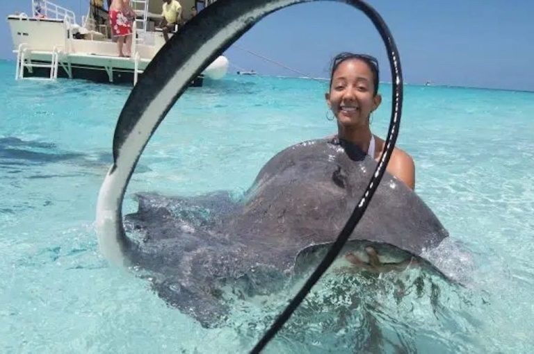 Gast hält vorsichtig einen Stachelrochen im flachen Wasser der Sandbank