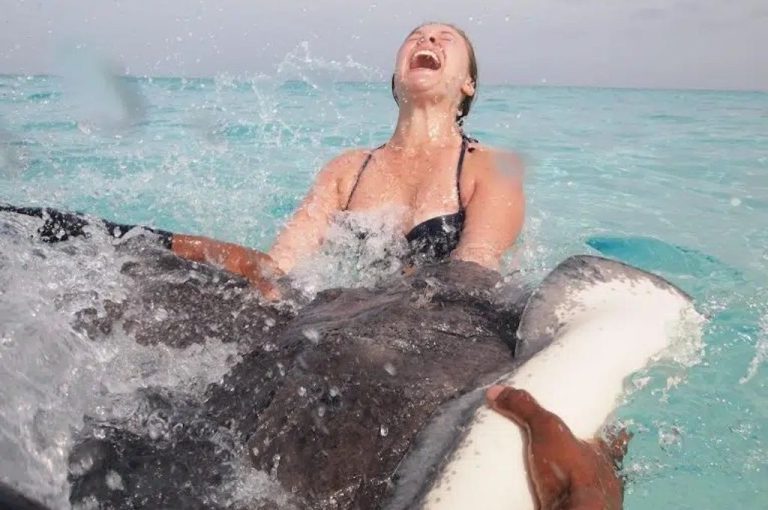 Frau schwimmt lachend neben einem Stachelrochen auf der Sandbank von Stingray City