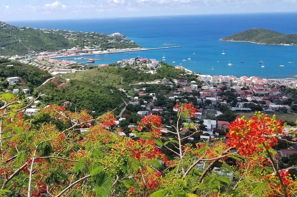 traumhafte ausblick von oben auf Hafen Rote Flamboyantblüten über der Bucht von Charlotte Amalie