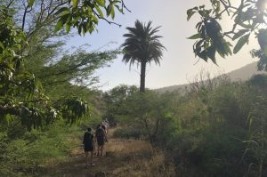 Wanderung durch Ribeira Grande