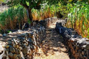 Wanderung durch Ribeira Grande