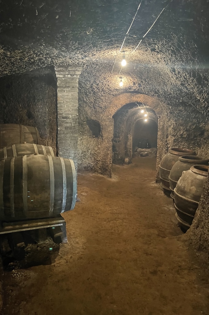 A wine tasting in the vineyards of the Alban Hills near Rome