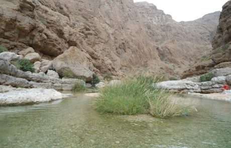 see Wadi Shab Tour