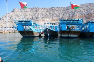 1/2 Tages Dhow Cruise mit Delfinsichtung