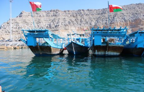 1/2 Tages Dhow Cruise mit Delfinsichtung